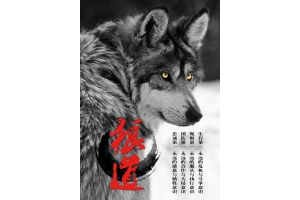 關于公司內部“狼性總經理”的視頻培訓